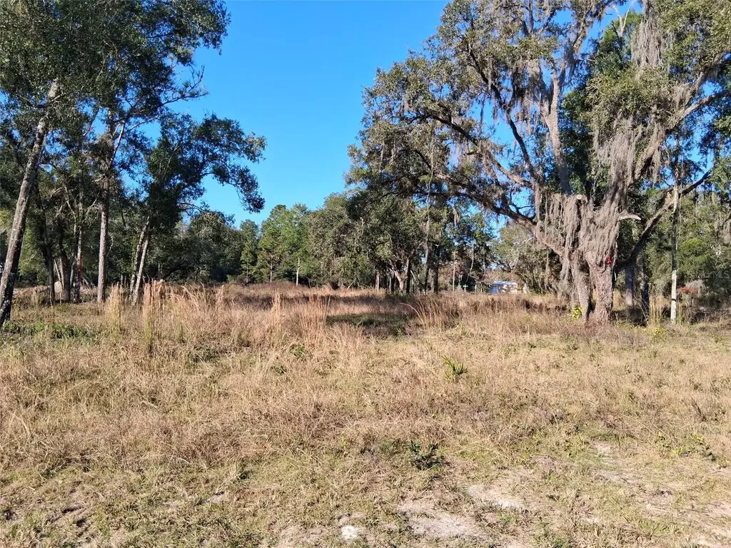 0 Long Circle Webster FL 33597