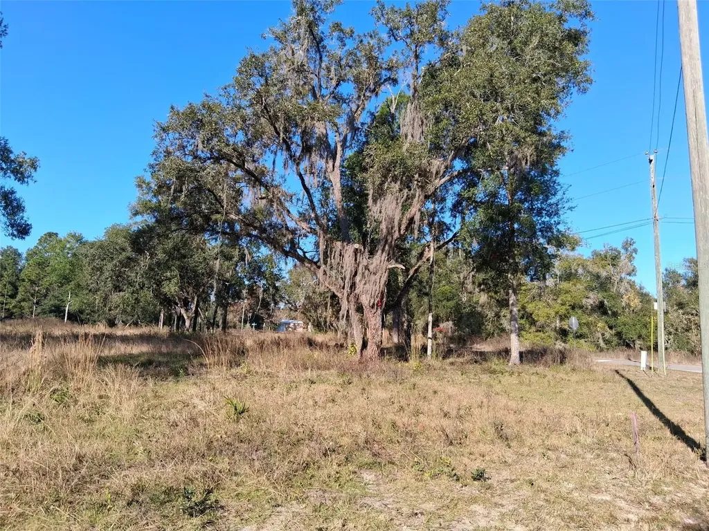 0 Long Circle Webster FL 33597