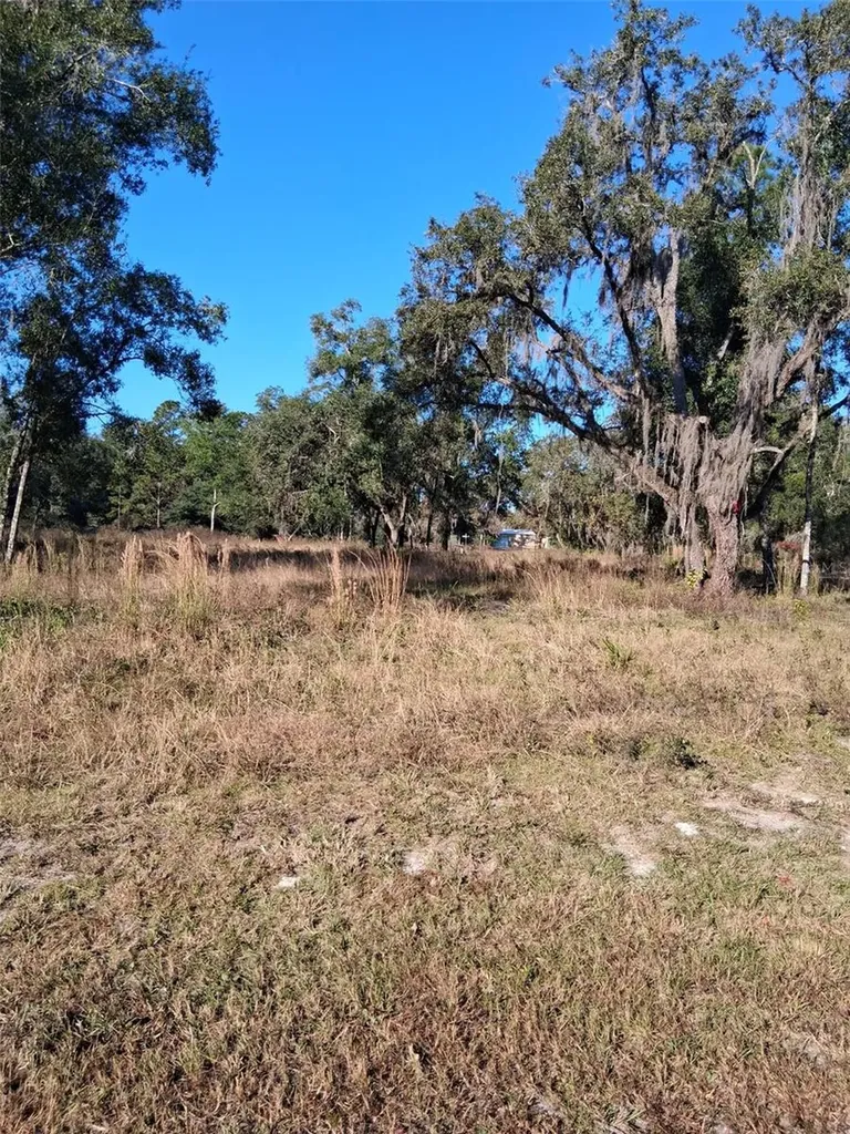 0 Long Circle Webster FL 33597
