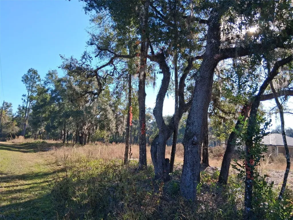 0 Long Circle Webster FL 33597