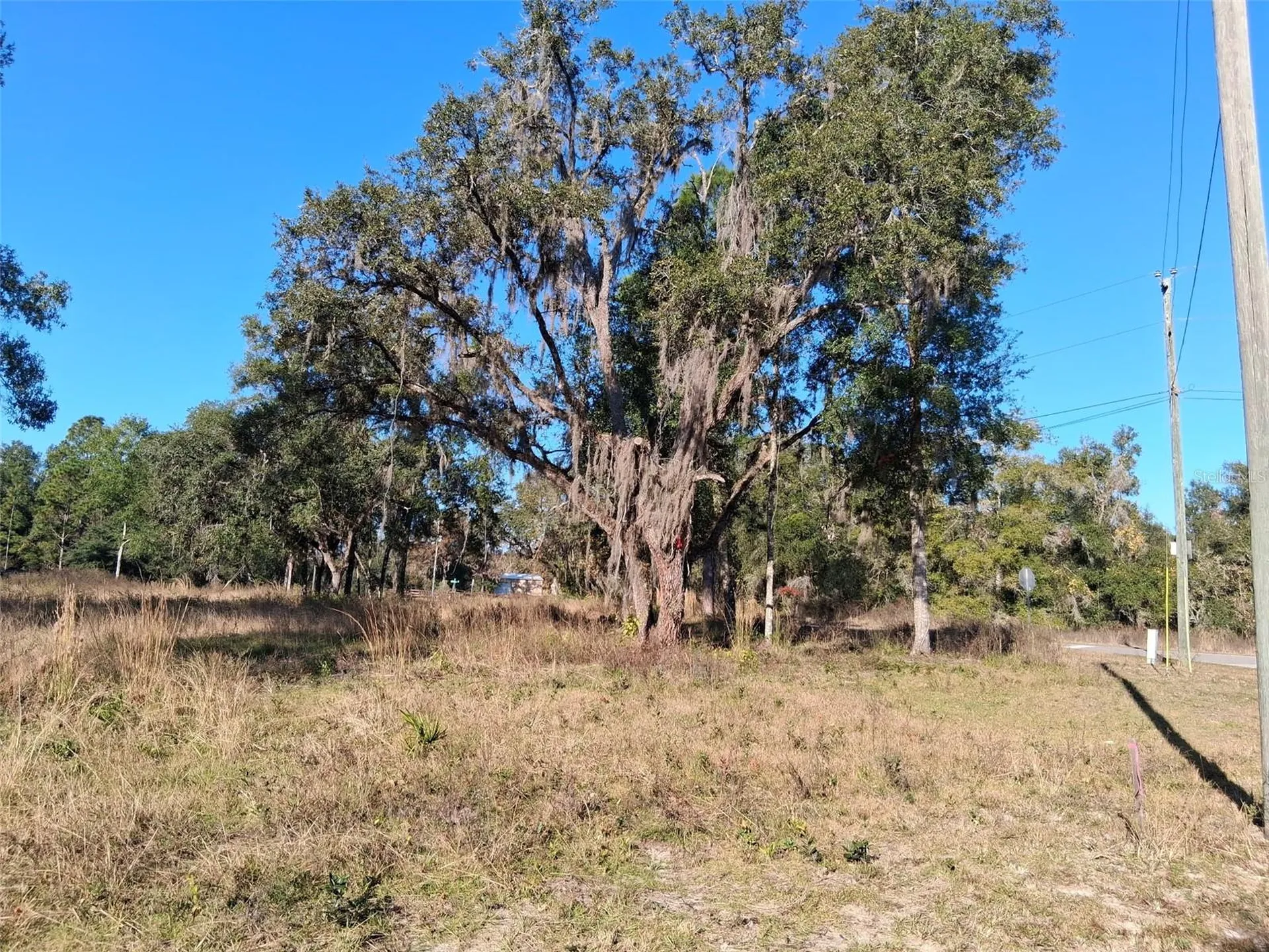 0 Long Circle Webster FL 33597