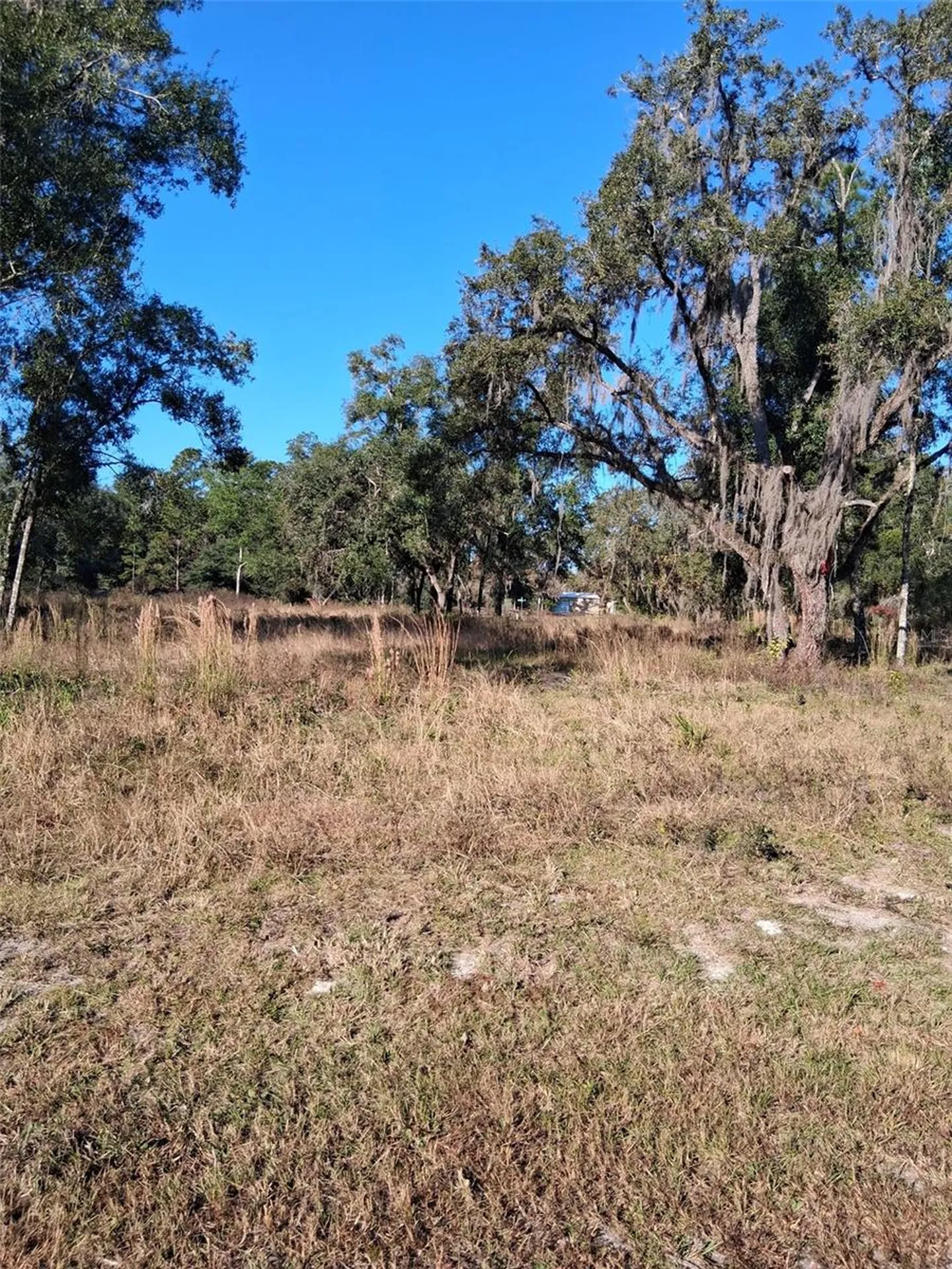 0 Long Circle Webster FL 33597