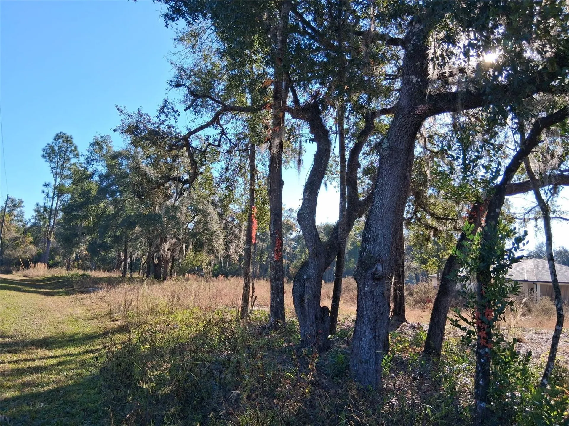 0 Long Circle Webster FL 33597