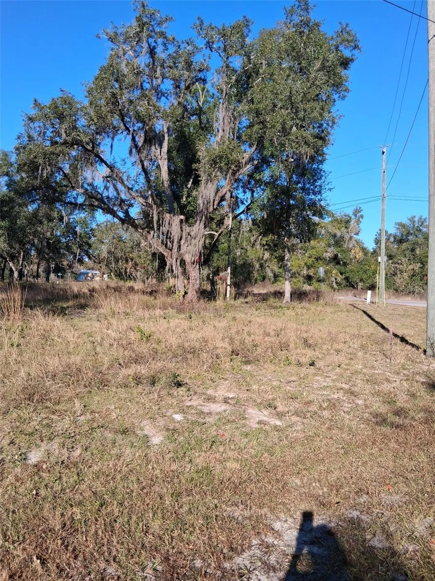 0 Long Circle Webster FL 33597
