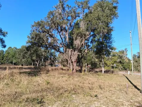 0 Long Circle Webster FL 33597