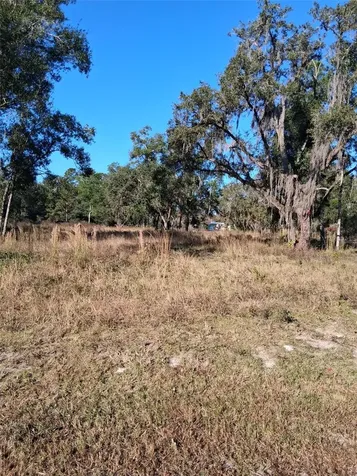 0 Long Circle Webster FL 33597