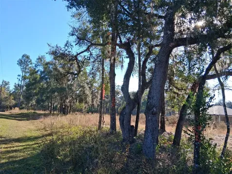 0 Long Circle Webster FL 33597
