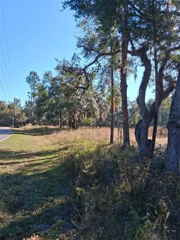 0 Long Circle Webster FL 33597