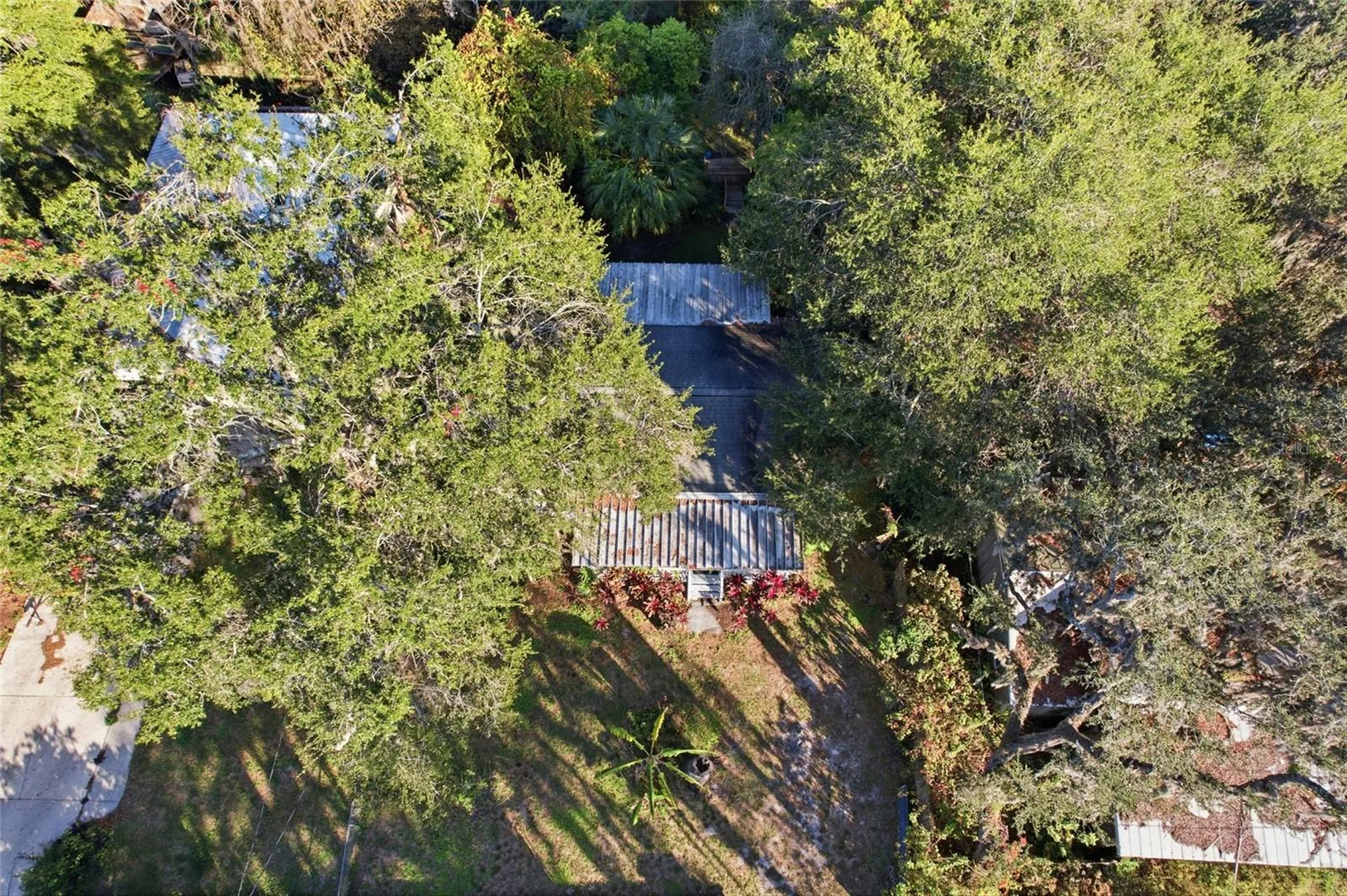 843 Cr 484 Lake Panasoffkee FL 33538