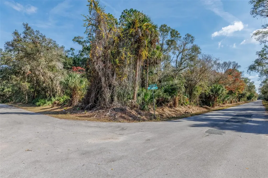 12298 W Marjoram Place Crystal River FL 34428