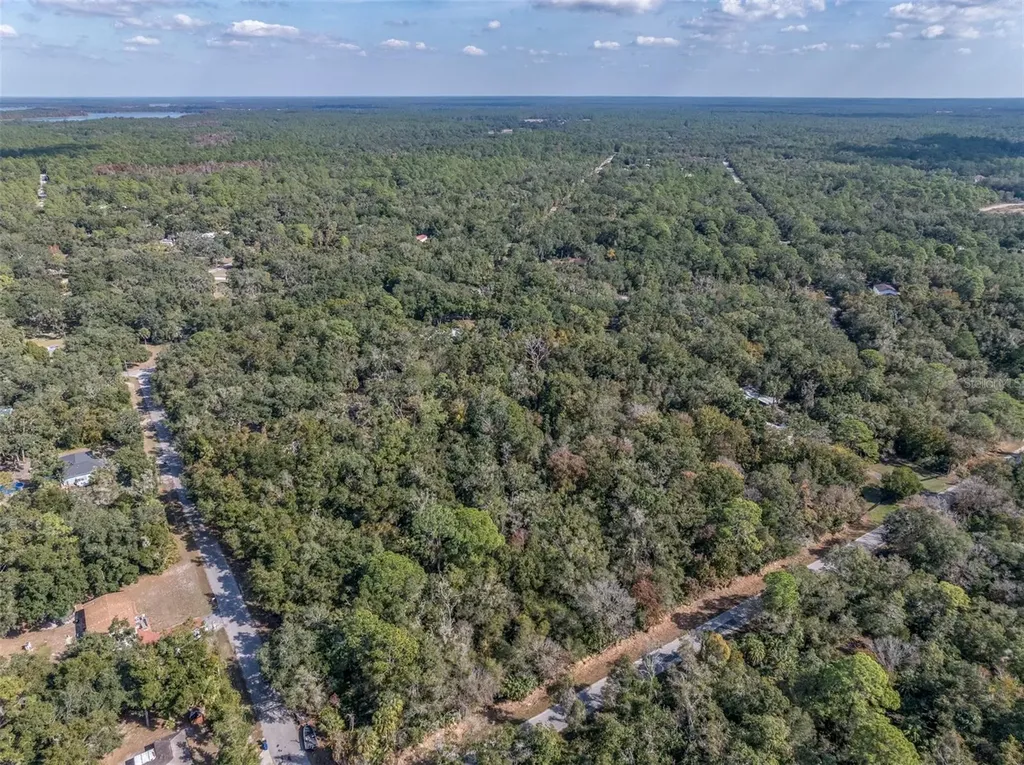 12298 W Marjoram Place Crystal River FL 34428