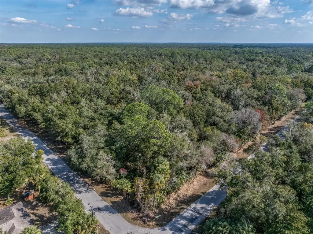 12298 W Marjoram Place Crystal River FL 34428