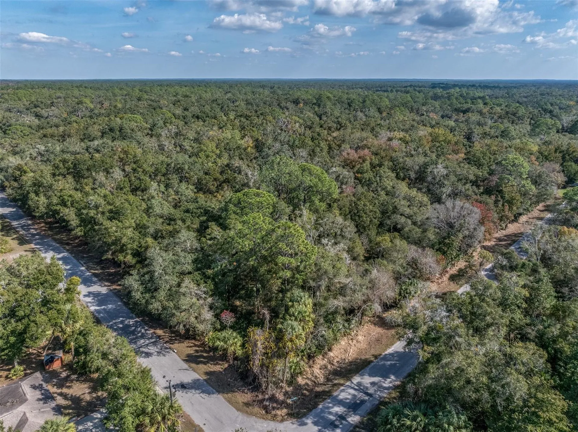 12298 W Marjoram Place Crystal River FL 34428
