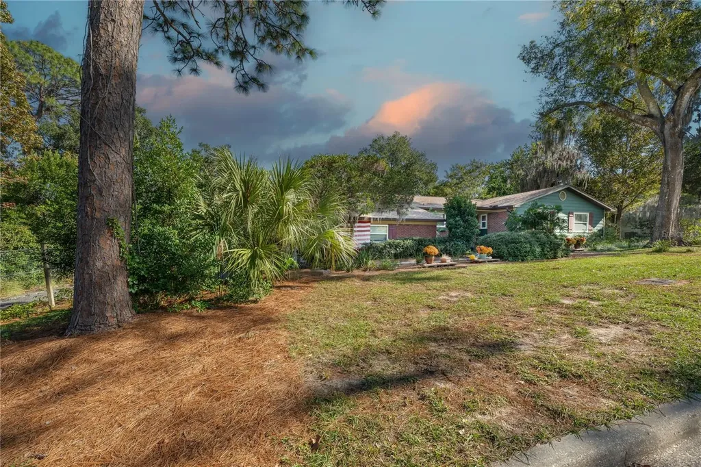 1438 Crestview Drive Mount Dora FL 32757