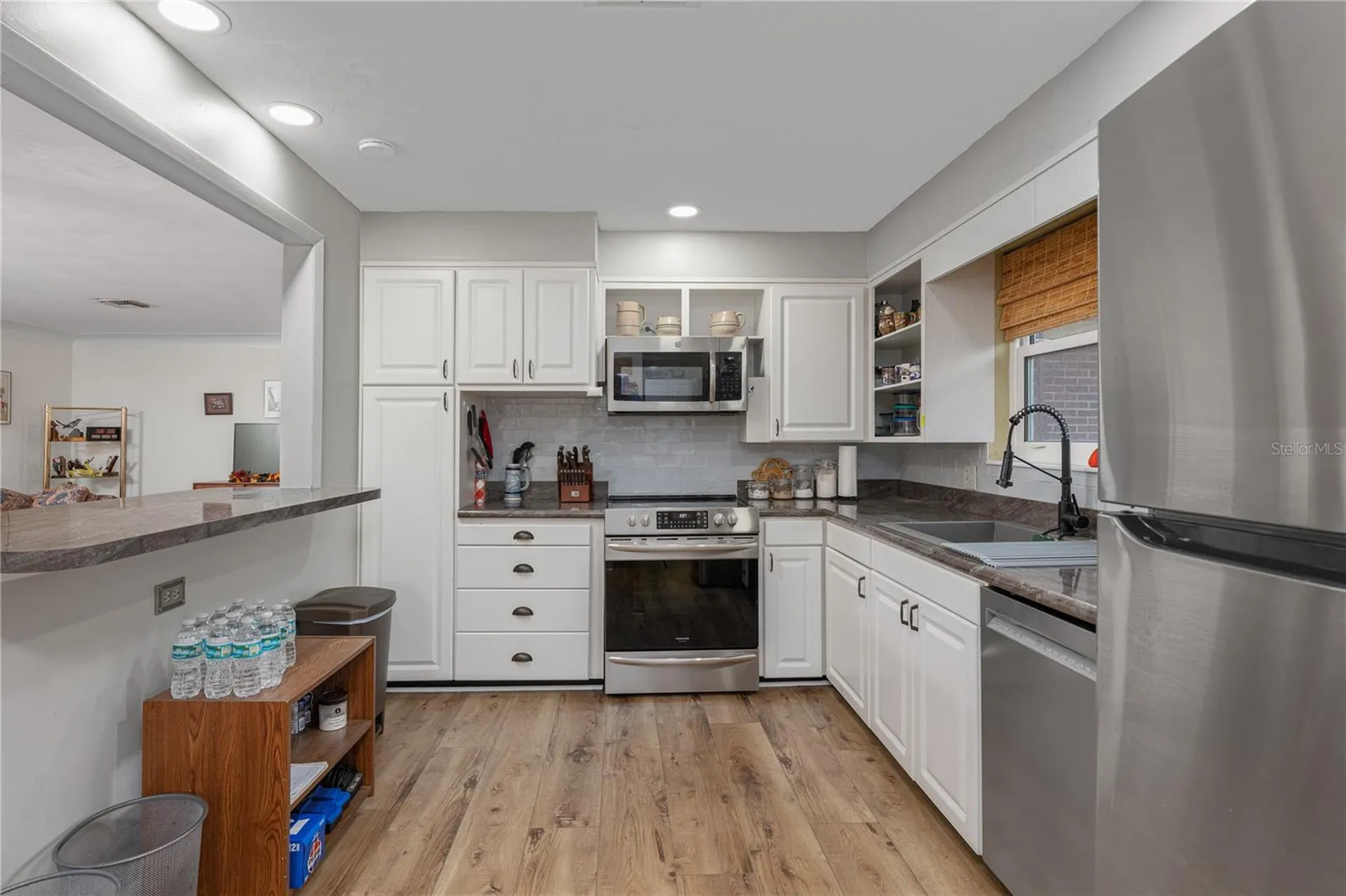 1438 Crestview Drive Mount Dora FL 32757