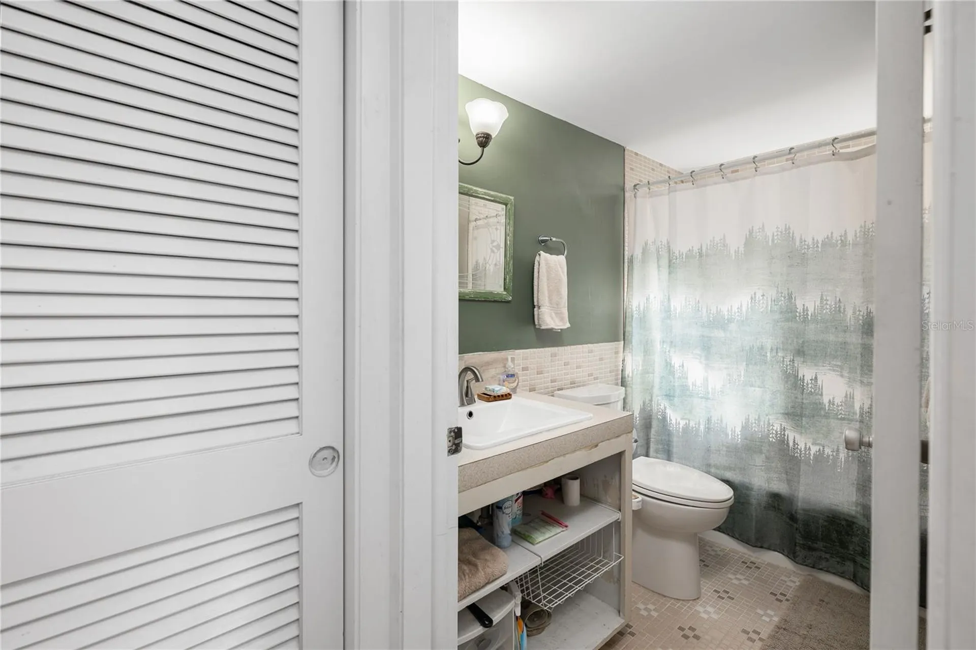 1438 Crestview Drive Mount Dora FL 32757