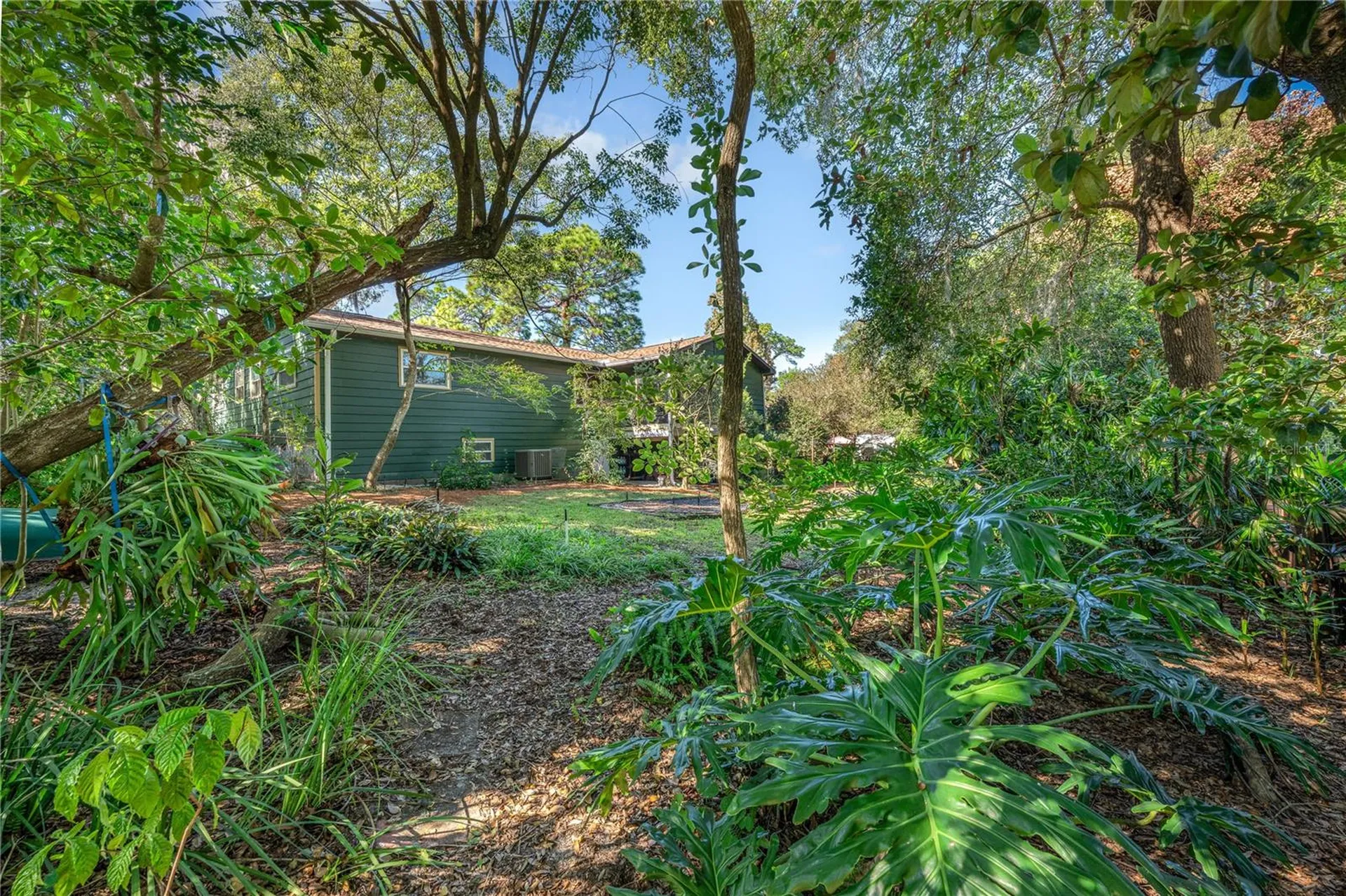 1438 Crestview Drive Mount Dora FL 32757