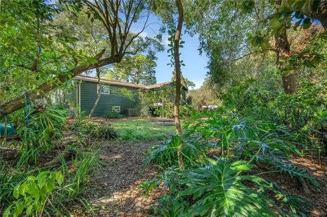 1438 Crestview Drive Mount Dora FL 32757
