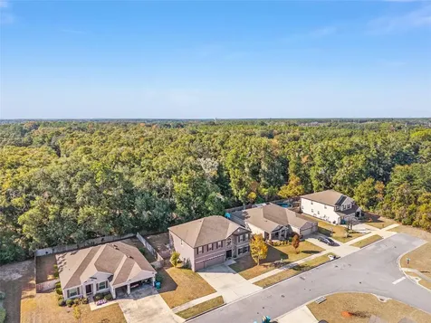 1048 NW 233rd Drive Newberry FL 32669