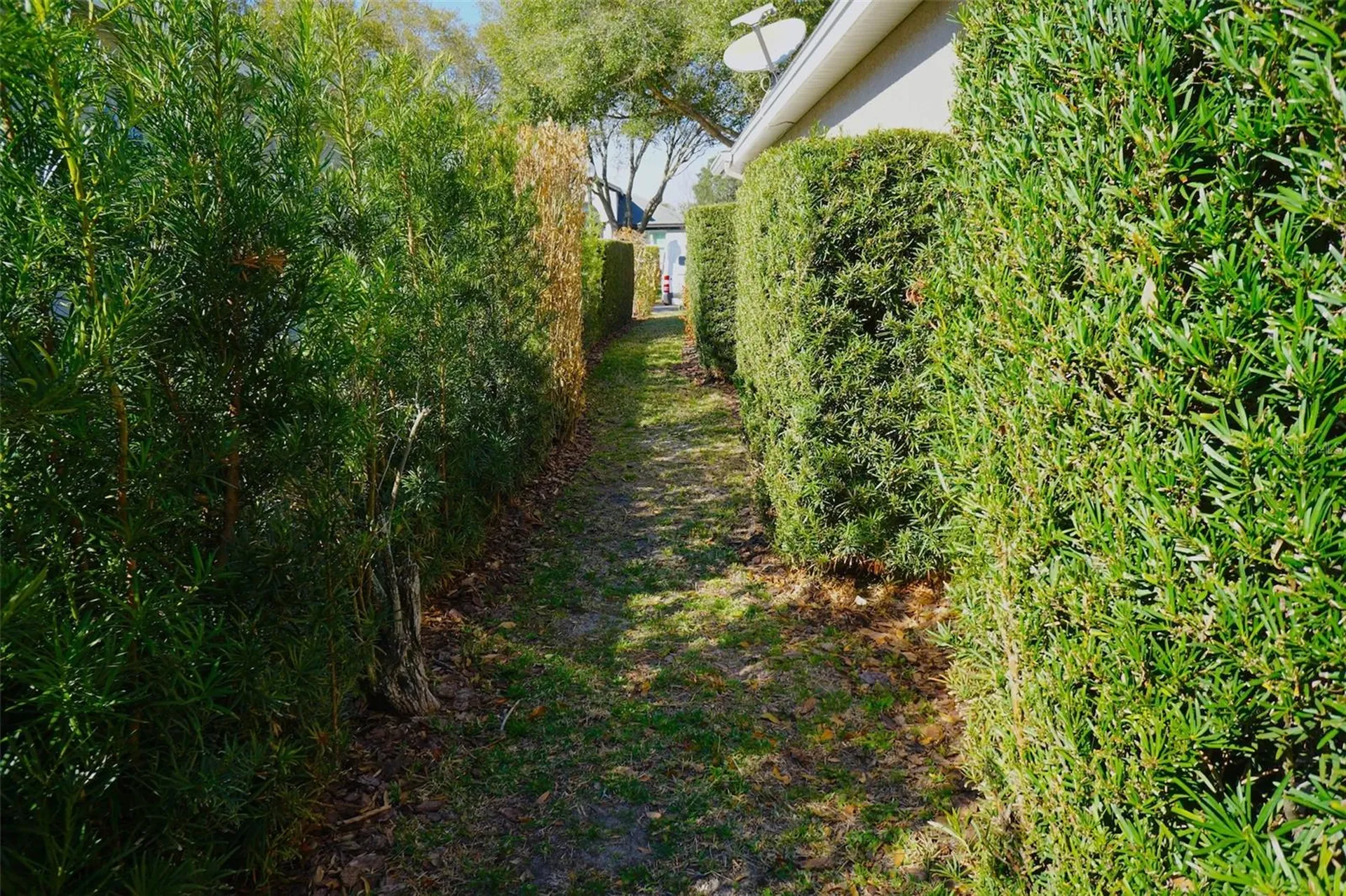7904 Westminster Abbey Boulevard Orlando FL 32835