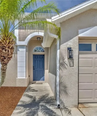 10641 Firebrick Court Trinity FL 34655