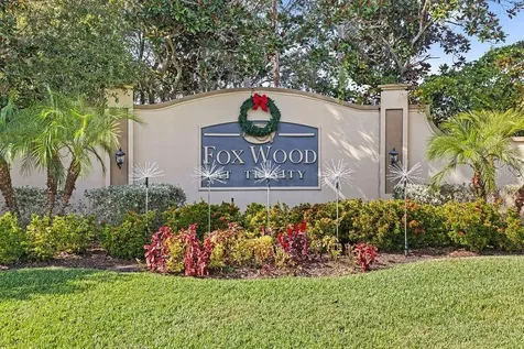 10641 Firebrick Court Trinity FL 34655