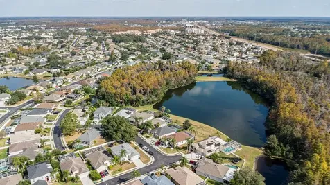 10641 Firebrick Court Trinity FL 34655