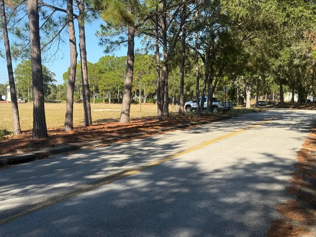 0 Forest Road Spring Hill FL 34606