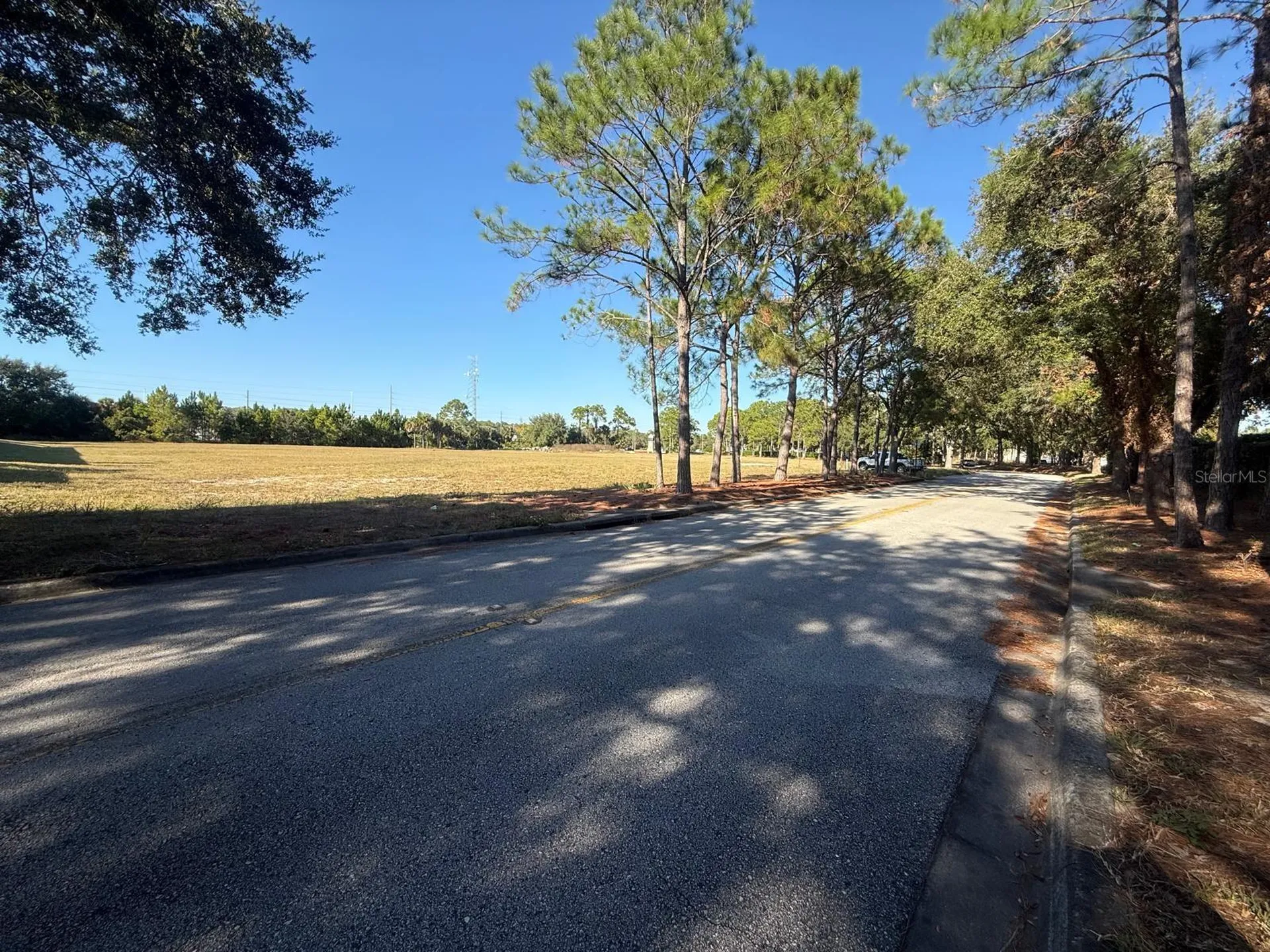 0 Forest Road Spring Hill FL 34606