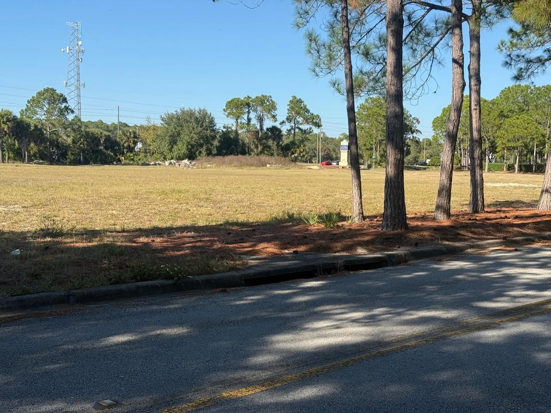 0 Forest Road Spring Hill FL 34606