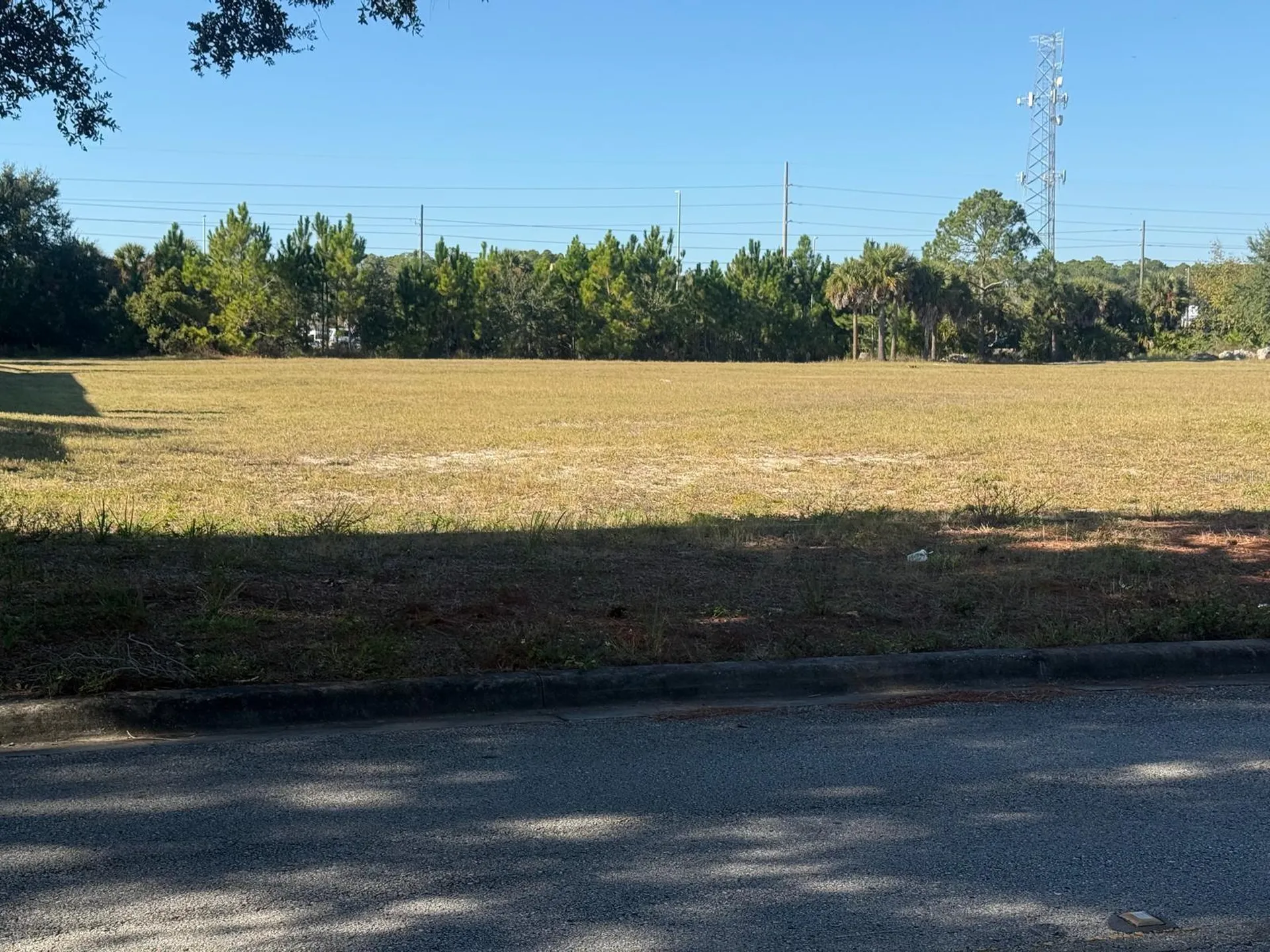 0 Forest Road Spring Hill FL 34606