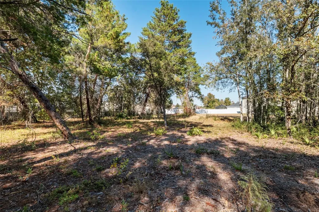11684 SW 56th Terrace Ocala FL 34476