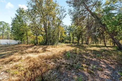 11684 SW 56th Terrace Ocala FL 34476