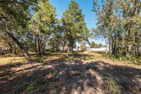 11684 SW 56th Terrace Ocala FL 34476