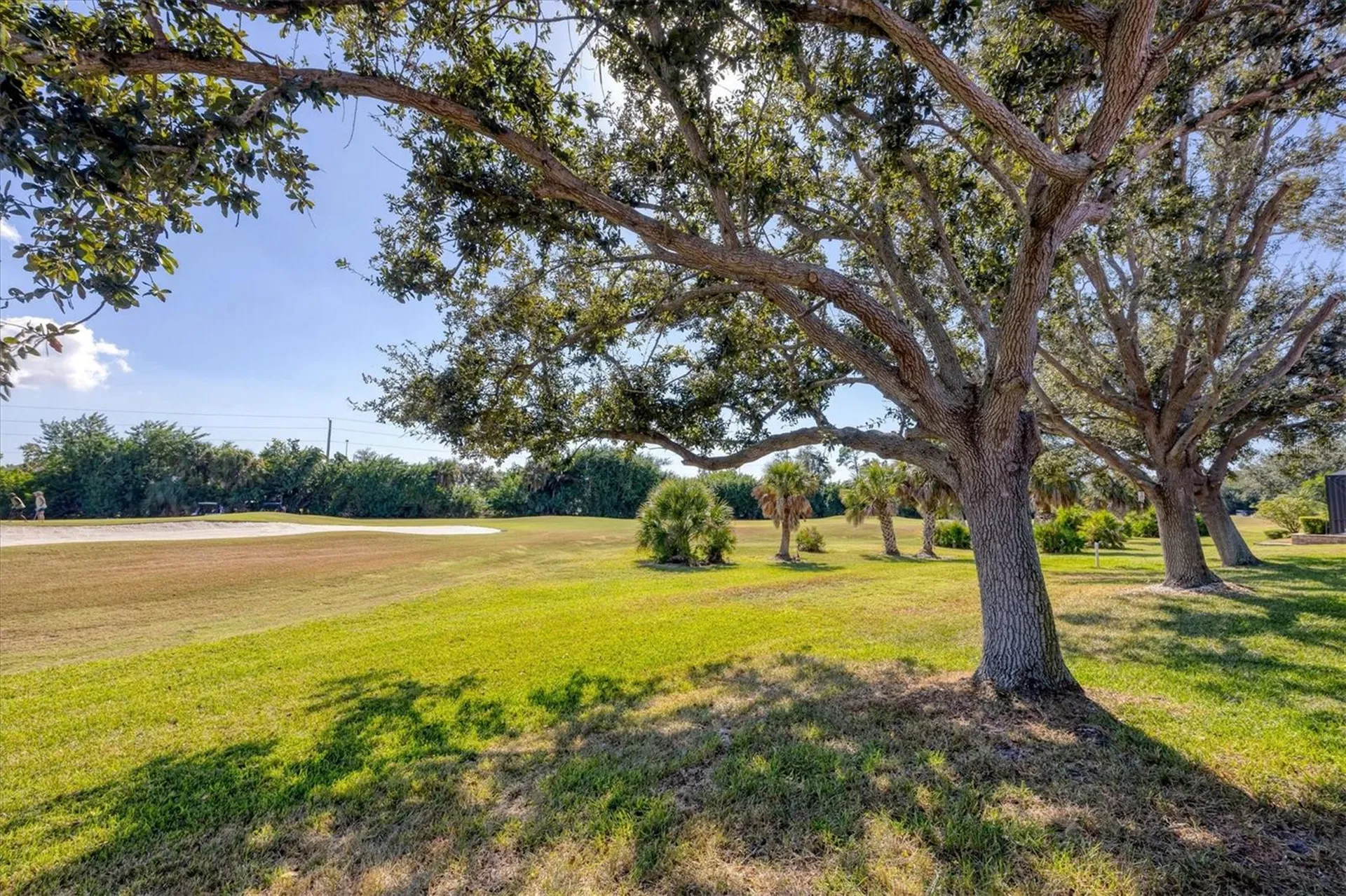 446 Pinewood Lake Drive Venice FL 34285