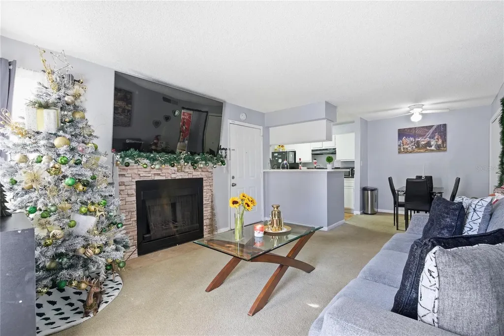 4401 Thornbriar Lane Orlando FL 32822