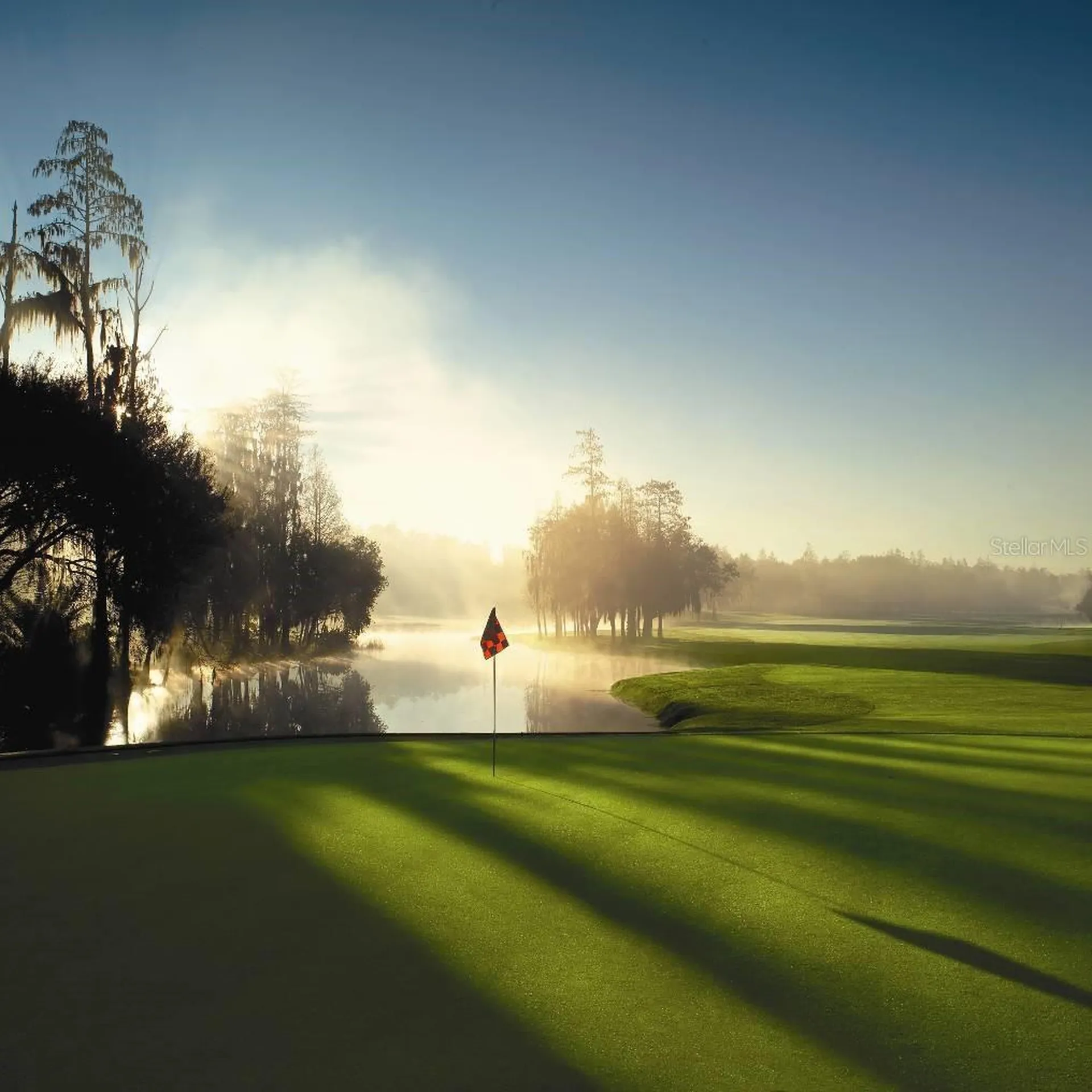 36750 Us Highway 19 N Palm Harbor FL 34684
