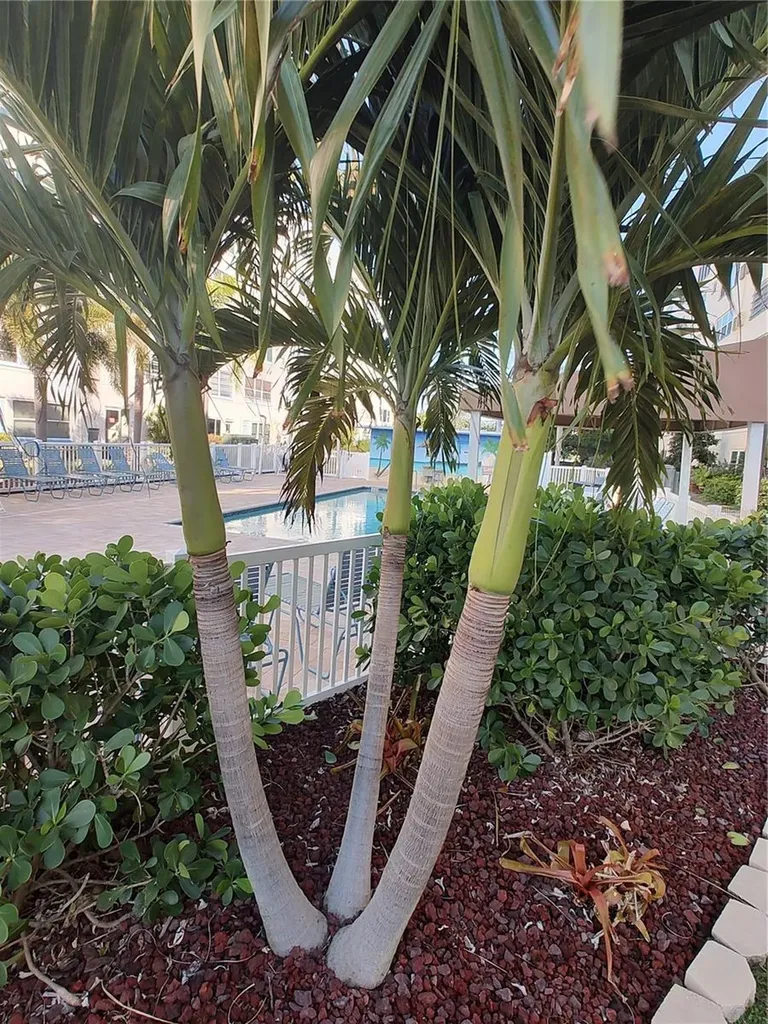 2960 59th Street S Gulfport FL 33707