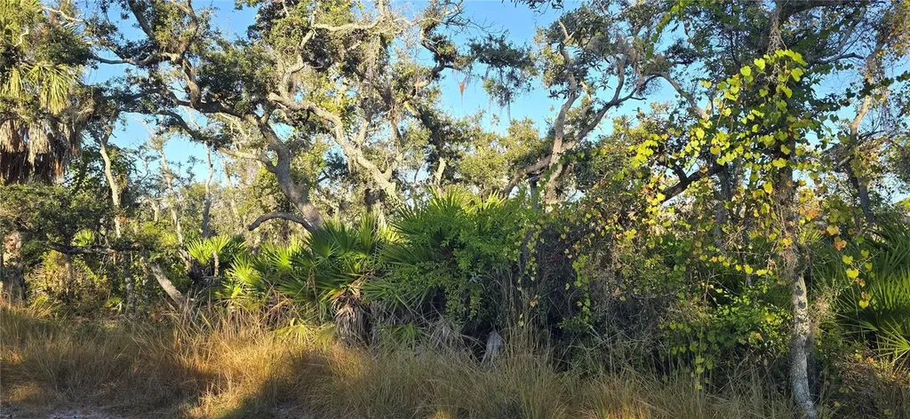Lemon Avenue Englewood FL 34223