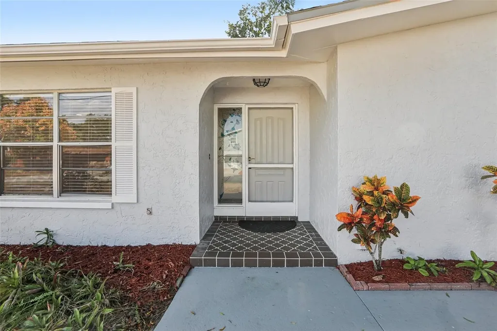 3100 N Canal Drive Palm Harbor FL 34684
