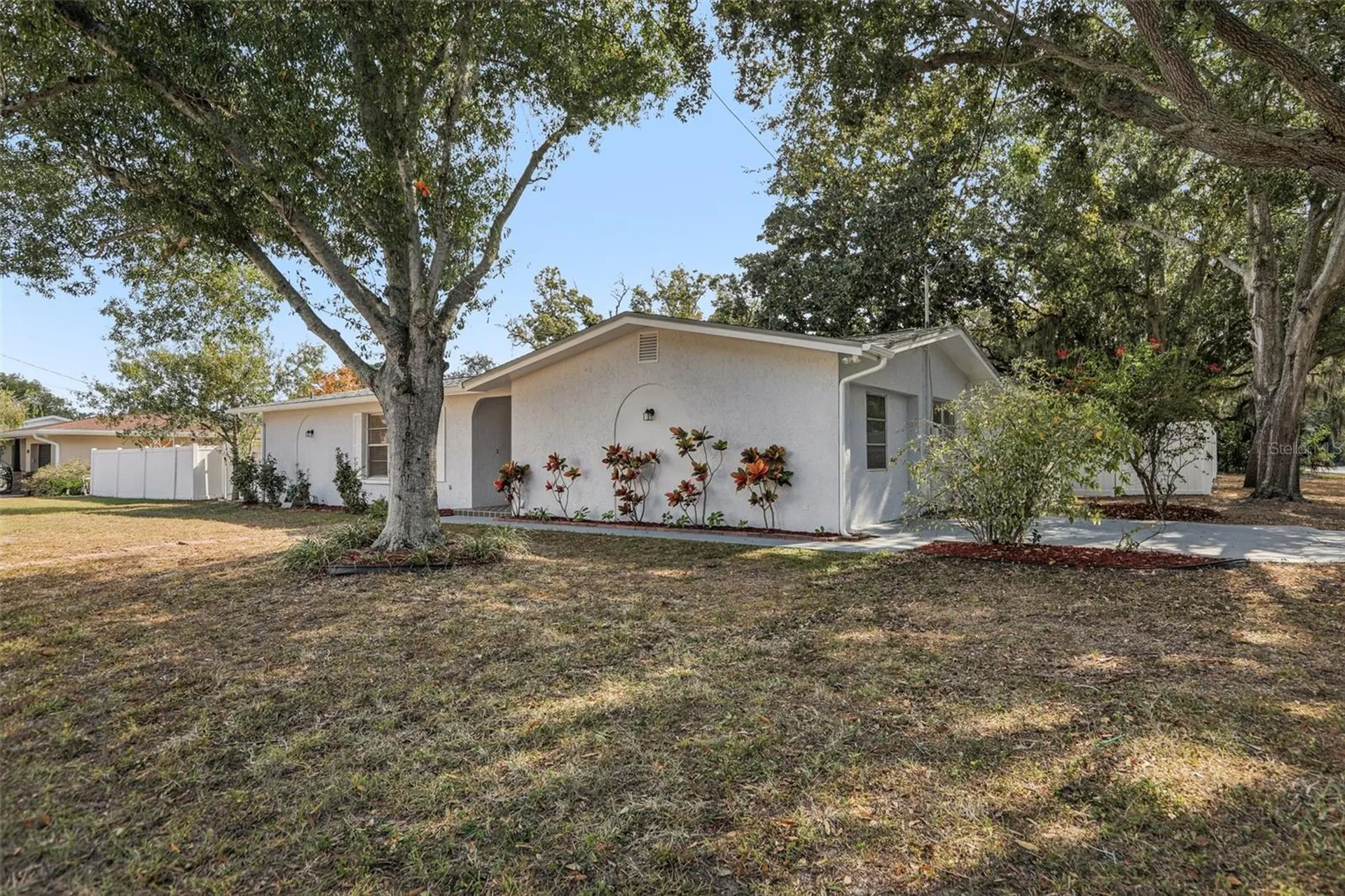3100 N Canal Drive Palm Harbor FL 34684