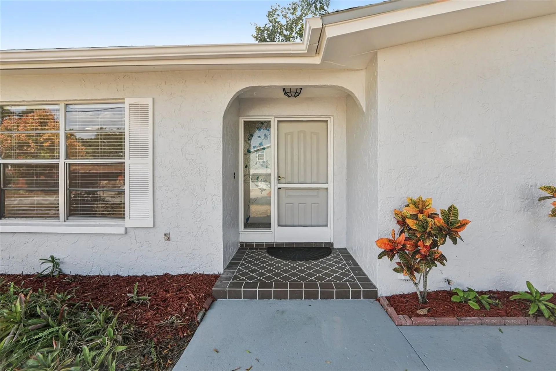 3100 N Canal Drive Palm Harbor FL 34684