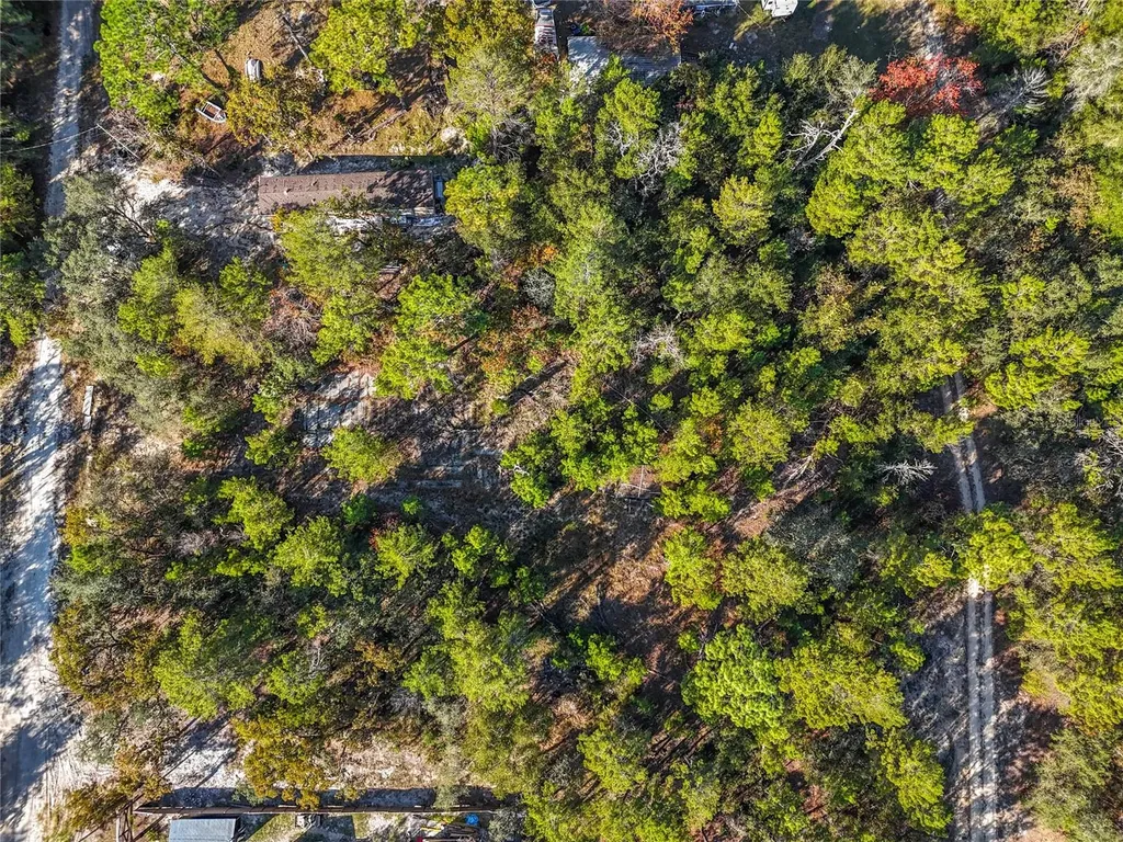 109 Lucas Street Satsuma FL 32189