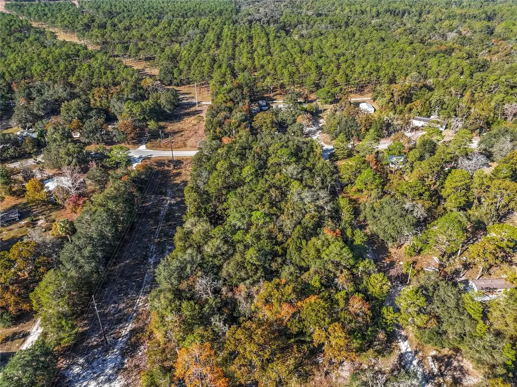 109 Lucas Street Satsuma FL 32189