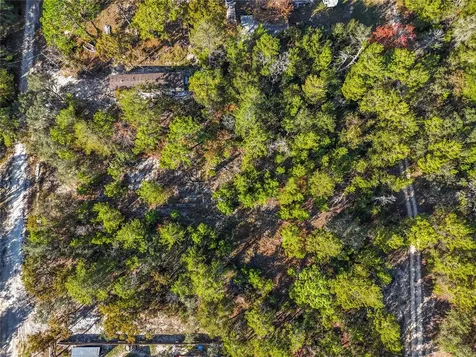 109 Lucas Street Satsuma FL 32189