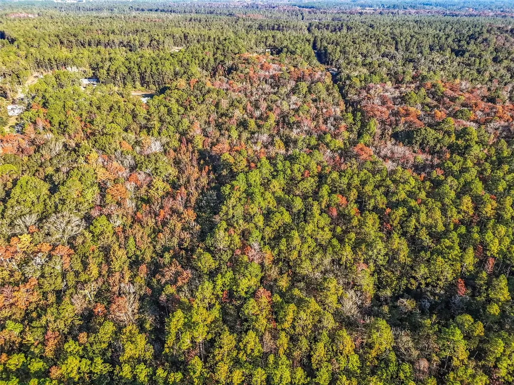 SW 6th Terrace Palatka FL 32177