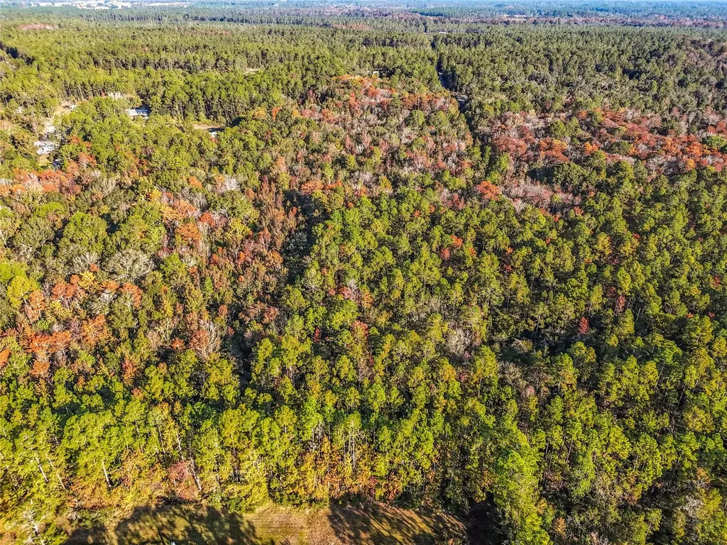 SW 6th Terrace Palatka FL 32177