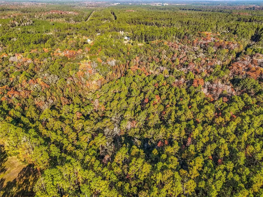 SW 6th Terrace Palatka FL 32177