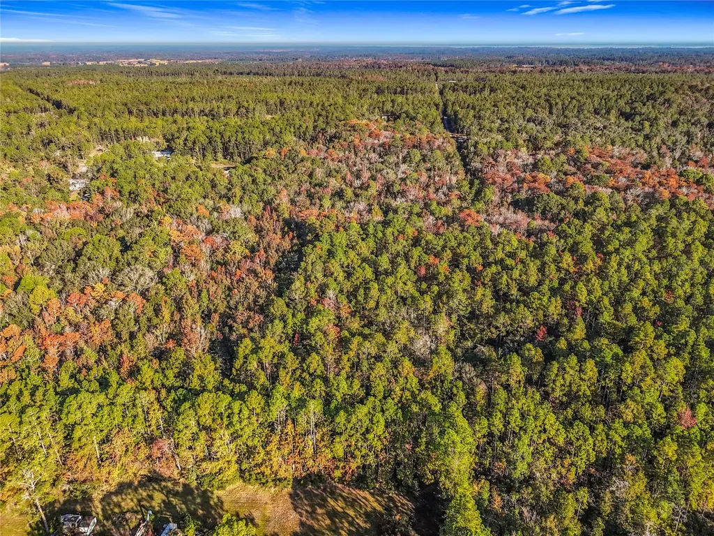 SW 6th Terrace Palatka FL 32177