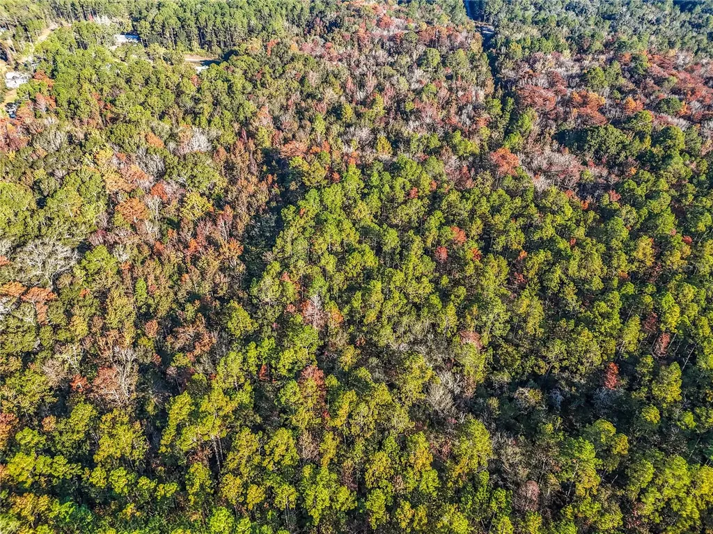 SW 6th Terrace Palatka FL 32177